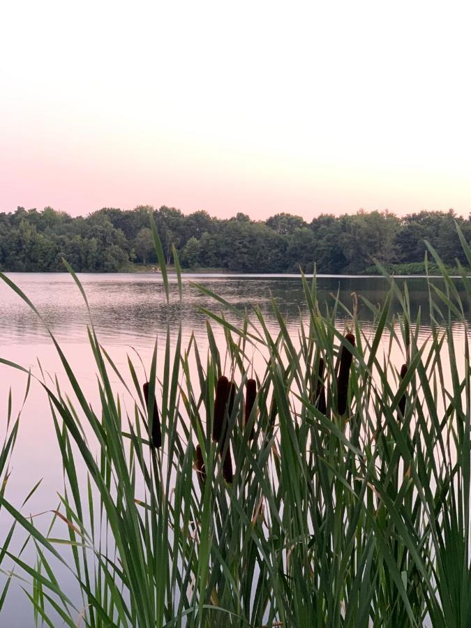 Ferienhaus Seeblick Am Harkebruegger See Mit Sauna Und Kamin Barssel  المظهر الخارجي الصورة