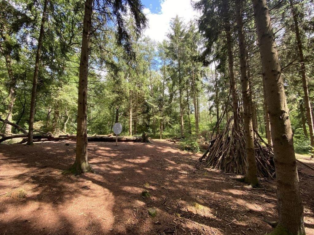 Ferienhaus Seeblick Am Harkebruegger See Mit Sauna Und Kamin Barssel  المظهر الخارجي الصورة